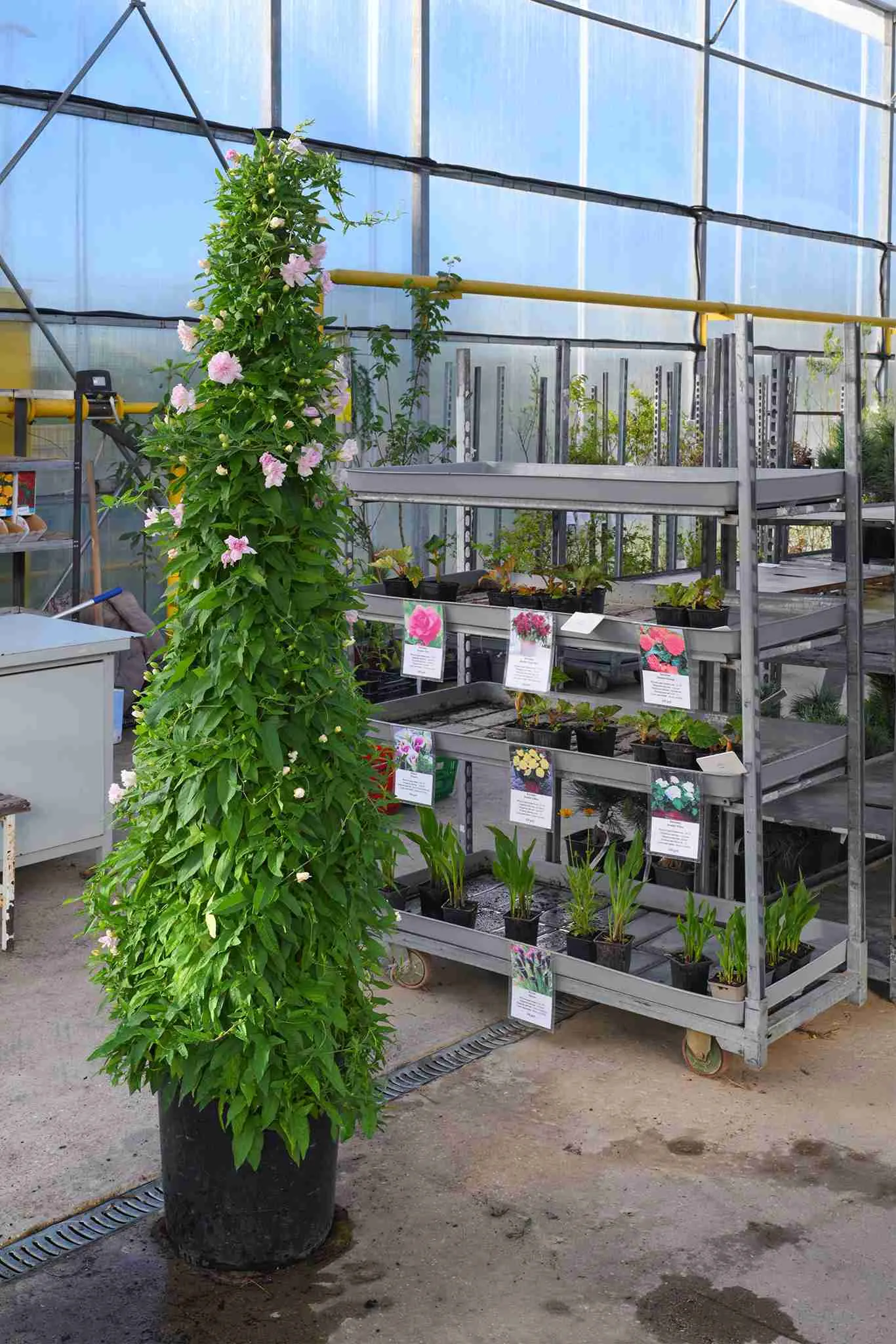 Общие фото 2024