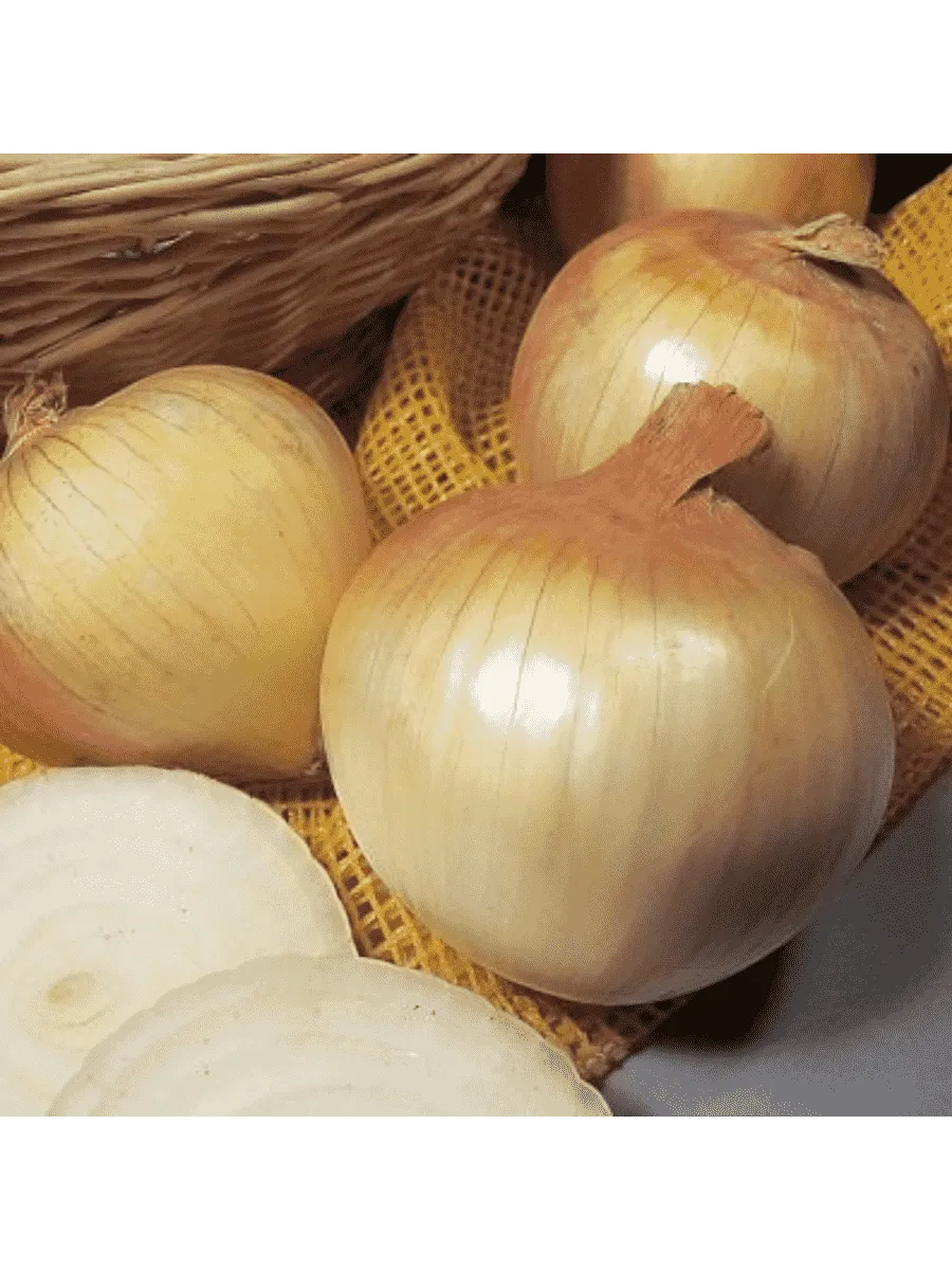 Лук-озимый Сеншуй Еллоу Глоб